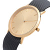 Gold Classic Watch - Analog Watch Co.