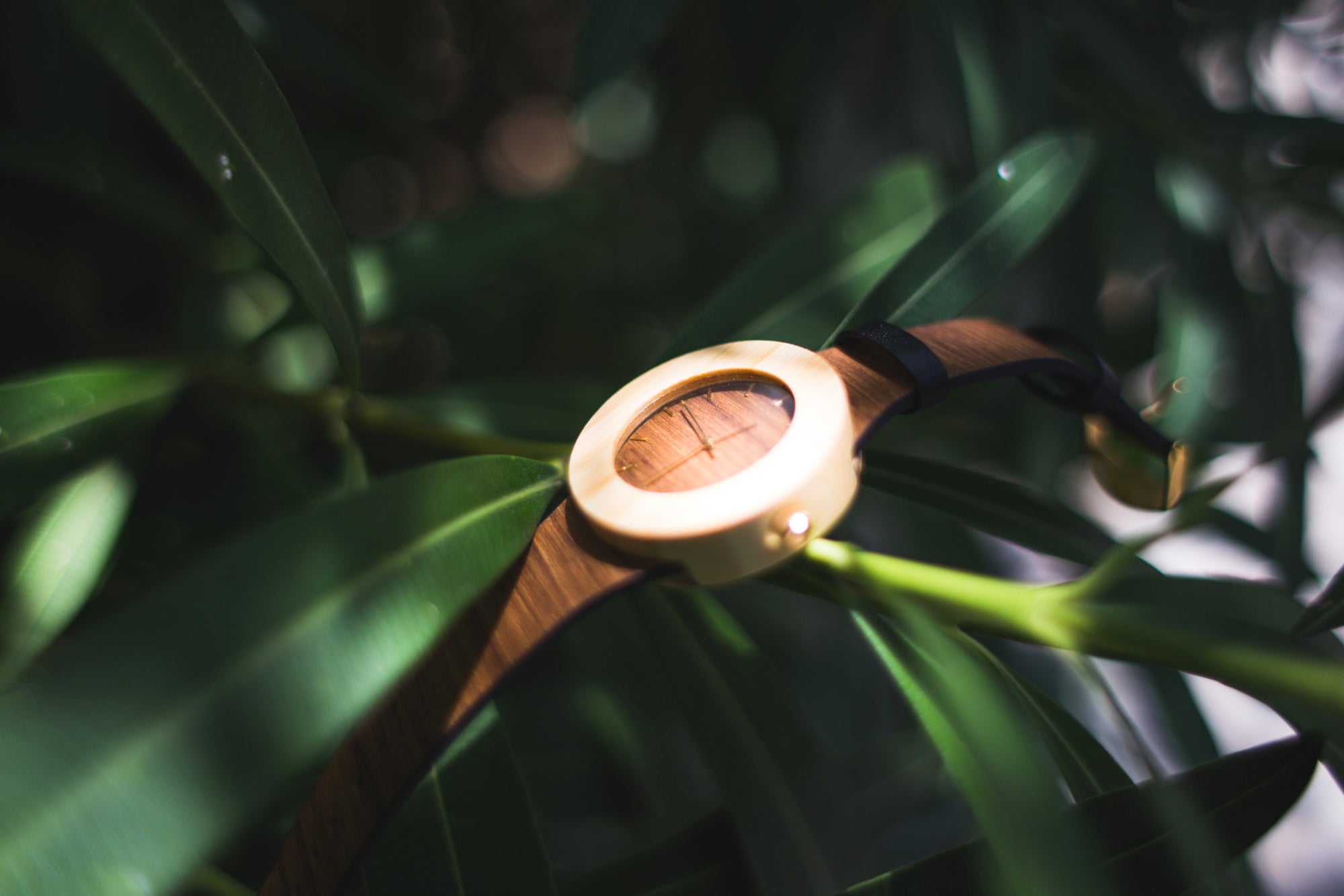 Teak & Bamboo Watch - Analog Watch Co.